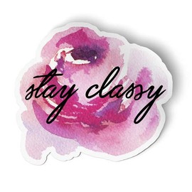 Squiddy Stay Classy - Vinyl Sticker for Car, Laptop, Notebook (4" Wide)