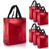 Nush Nush Set of 30 Shiny Red Gift Bags in