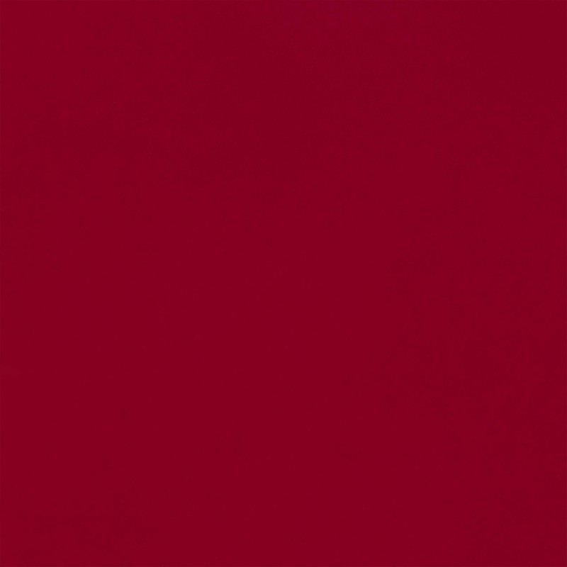 MARTHA STEWART Paint & Primer 8oz Spray Paint, Gloss Chipotle