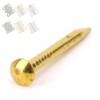 100Pcs Brass Wall Pins, Round Head Brass Brad Nails for