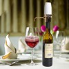 WIWONEY Aeratore e versatore elettrico di vino, decanter per vino