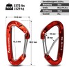 FresKaro Carabiner Hook Carabiner Hook 15 kN, Robust, Small, Sturdy,