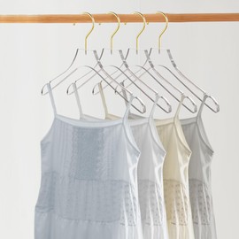 Besser 30 Pack Acrylic Hangers with Gold,Acrylic Clear Hangers,Premium Crystal Dress Hangers Swivel Gold Hook Luxurious Shiny Clothes Hangers(Clear-Style A)