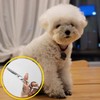 Stainless Steel Hairdressing Thinning Scissors-WFIQR9O / 스텐레스 미용 이발 숱치기 틴닝가위-WFIQR9O