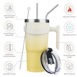 BJPKPK Tumbler With Handle And Straw Lid 20 oz Stainless Steel Insulated Coffee Tumbler Cups For Home, Office or Car,Lemon