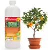 Premium Liquid Citrus Tree Plant Fertilizer - 3-1-2 Concentrate for