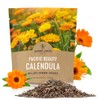 Calendula ‘Pacific Beauty Mix’ – Extra Large Packet – Over