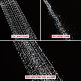 Delta Faucet Peerless 76311D Hand Shower/ Shower Head Combo Pack, Chrome