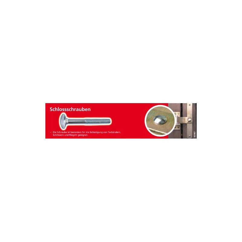 Suki.International 6112028 Carriage Bolt M Galvanised 4.6 TG DIN 603