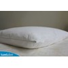 Set of 2 Queen Size SureGuard Pillow Protectors - 100%