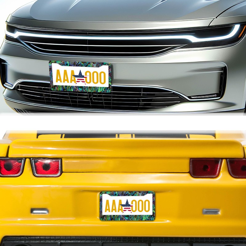 License Plate Frames Multicolor Fun License Plate Frame Cover Faux