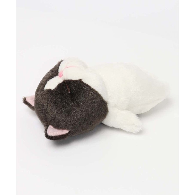 Naito Design Laboratory, Cat Like a Bo Hachibo