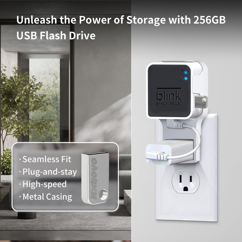 256GB USB Flash Drive & Wall Mount for Blink Sync