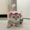 Cute Pets Cap with Cherry Decor Wool Berets for Small