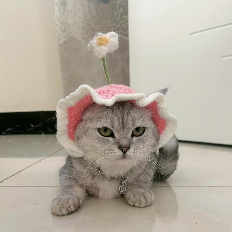 Cute Pets Cap with Cherry Decor Wool Berets for Small