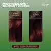 Clairol Natural Instincts café coloración del cabello, 4rv Dark Burgundy/Rich