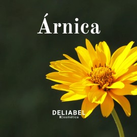Bálsamo Corporal Árnica, Karité, Cera De Abeja 20g, 3pzas