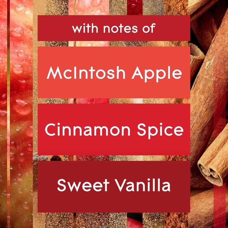 Glade Automatic Spray Refill Apple Cinnamon 6.2oz 2 Count Scented