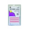 Charles Leonard Inc. File Folder Labels, 0.56 x 3.43 Inches,