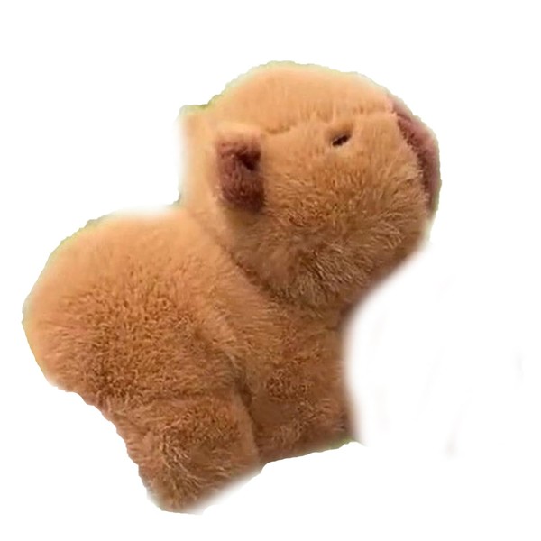 Capybara Slap Bracelets, Capybara Plush Toy, Capybara Soft Toy