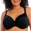Elomi Plus Size Plain Sailing Plunge Bikini Top 38H, Black