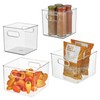 iDesign Fridge Bin with Handles, 2 Small and 2 Medium