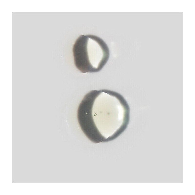 Sodashi Calming Serum, 30ml
