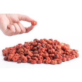 Factory Direct Craft Natural Dried Putka Pod Mini Pumpkins Fall Decorative Bowl Filler - Tiny Pumpkin Putka Pods (Bag of 4 Cups)