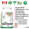 Plantvital PlantVital Organic Beet Root - Made in Canada -