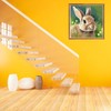 Bimkole DIY 5D Diamond Painting Kits Accessories Cute Rabbit, Animal