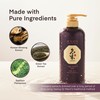 Daeng Gi Meo Ri - Ki Gold Premium Shampoo 2