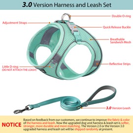 AIITLE Small Harness for Puppy with A Leash - Summer Dog Vest Harness with Super Breathable Mesh, Reflective No-Pull Pet Harness for Outdoor Walking, Camping for Small Dogs, Cats Pure Turquoise XXS