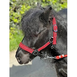 POLKA DOT HEADCOLLAR WITH LEAD ROPE FULL-MINI SHETLAND (Red, Cob)