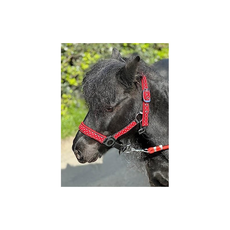 POLKA DOT HEADCOLLAR WITH LEAD ROPE FULL-MINI SHETLAND (Red, Cob)