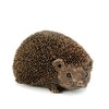 Frith Womens Sculpture TM044 Wiggles Hedgehog Figurine Ornament Decoration