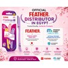 Feathers, Flamingo S, For Wide Areas, 3 Piece Set, Made