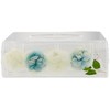 Pacific GLD 58801 Tissue Box Case, Acrylic Underwater Flowers, White