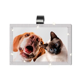 Linsdala Bling Car Sun Visor Photo Holder, Visor Clip Rhinestone Magnetic Picture Frame, Car Interior Personality Decoration (White, 2.4 x 3.5)