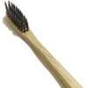 Brush Buddies Bamboo Charcoal Toothbrush, Human Powered,