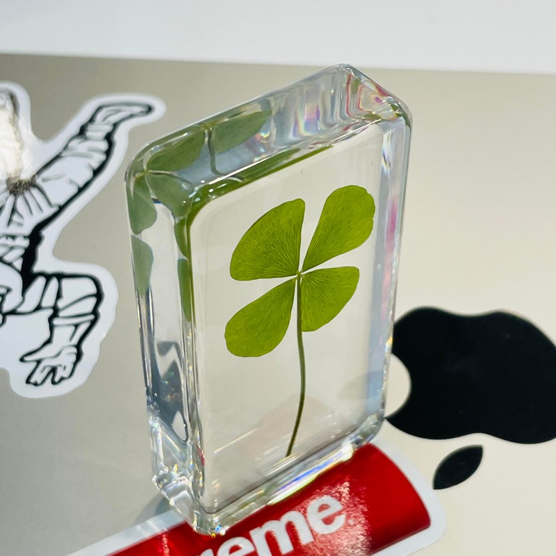 Real 4 Leaf Clover in Lucite Resin (3, Clover Only)