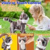 Marsjoy Gray Leash Walking Cat Set Singing That Purrs and