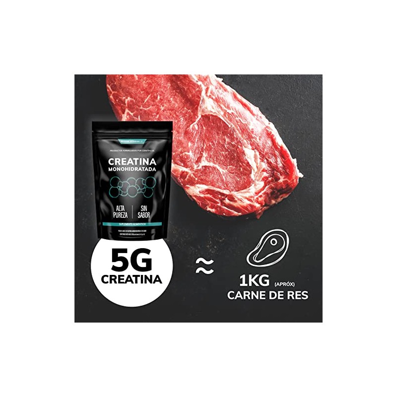 Creatina Monohidratada Micronizada Polvo 100 Alta Pureza Certificada Pre Workout