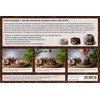 FLORTUS Coconut Source Pots Made of Potting Soil with Nutrients