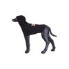 Rukka Pets Sierra Sweatshirt for Dogs Black 40