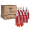 Galvanina Red Grapefruit with Pulp – Premium Organic Italian Sparkling