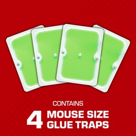 Tomcat Super Hold Glue Traps Mouse Size Bundle, 48 Traps