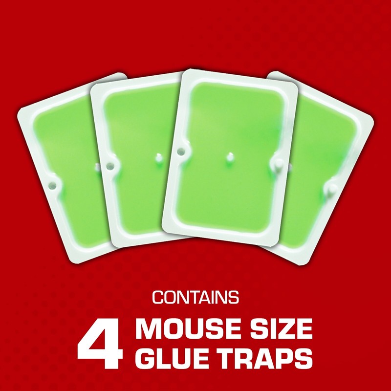Tomcat Super Hold Glue Traps Mouse Size Bundle, 48 Traps