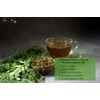 Tea4U Flavored Moringa Selections 60 Tea Bags