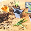 Verdonia 40 x 8cm Plastic Pots for Sowing, Transplanting, Cuttings,
