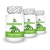 Moringa, 300 Cápsulas (3 Frascos 100 Cap C/u) Sabor Natural